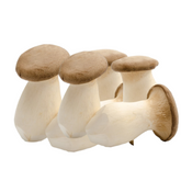 King Oyster Mushroom Grain Spawn 1.5kg (220) - House of Mushroom